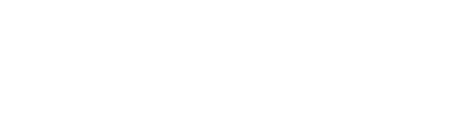 Welfi logo